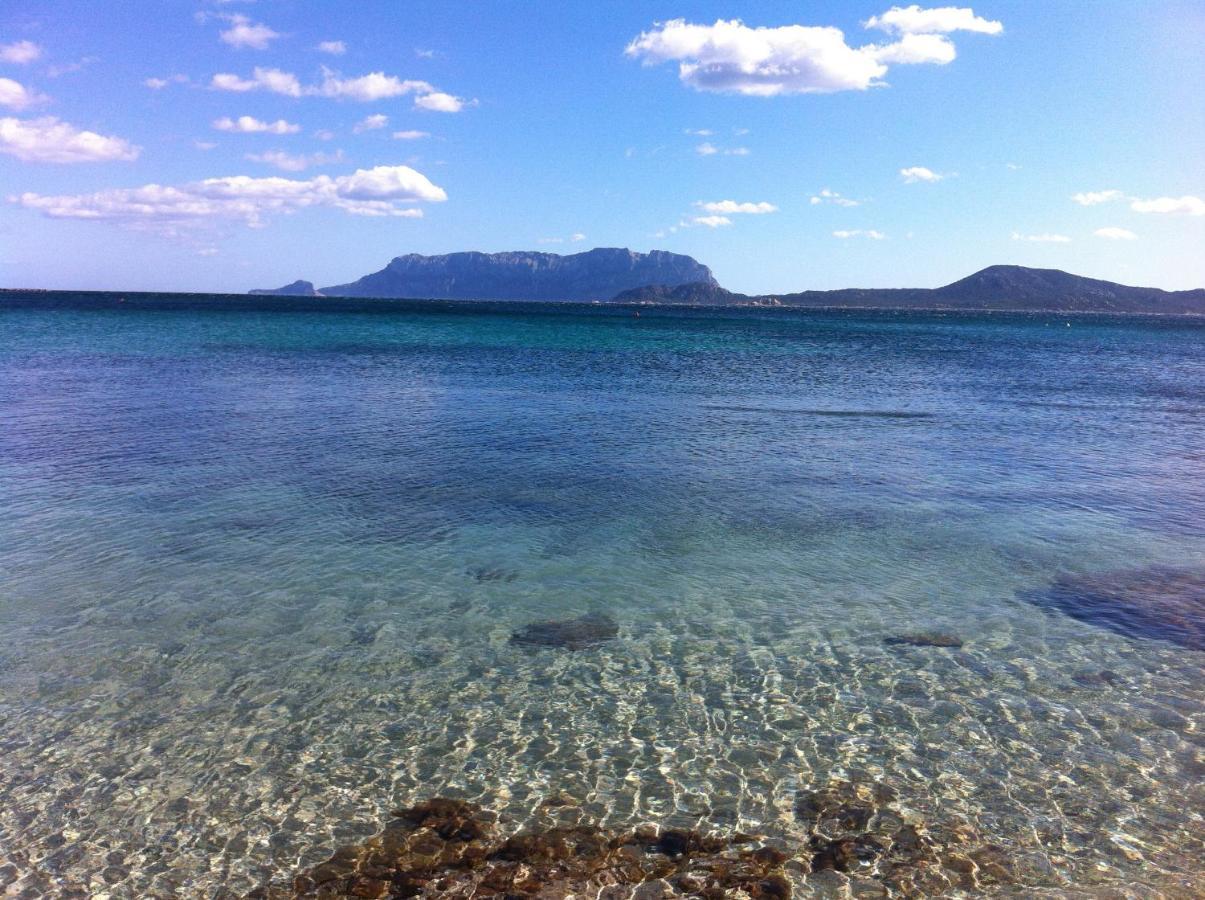 Olbia Center City Apartment Екстериор снимка